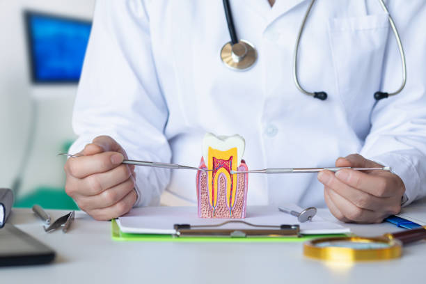 Best Emergency Dental Care for Abscessed Tooth in Bradford, PA